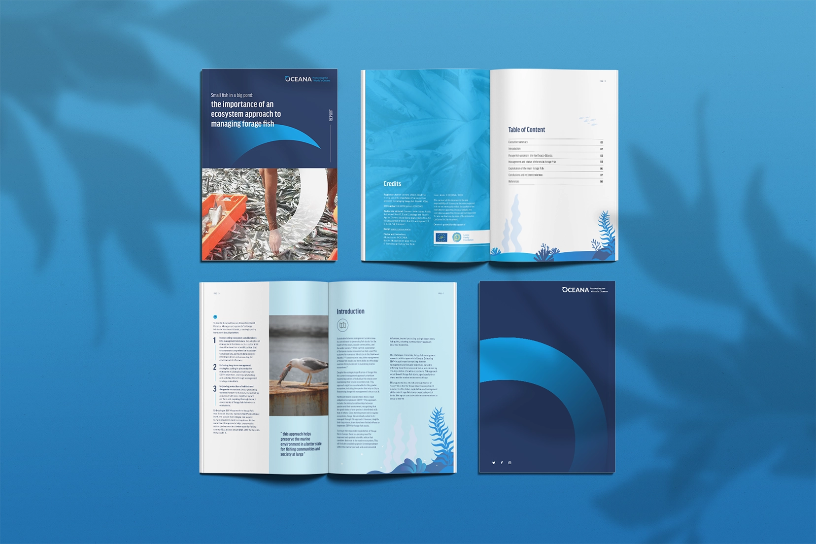 Oceana report Mockup copie